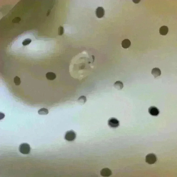 silvia tcherassi Blazer Jacket White Sz m Avant Garde Coquette Long Sleeve - Picture 6 of 11